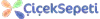 Footer Icon